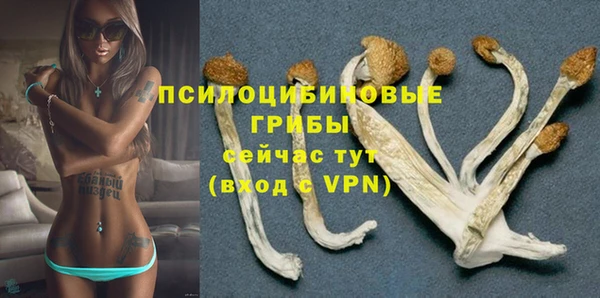 прущая мука Болотное