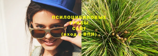 ПСИЛОЦИБИНОВЫЕ ГРИБЫ Болхов
