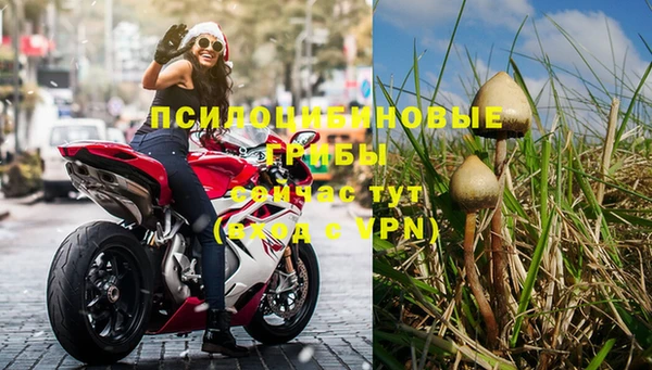 2c-b Болохово