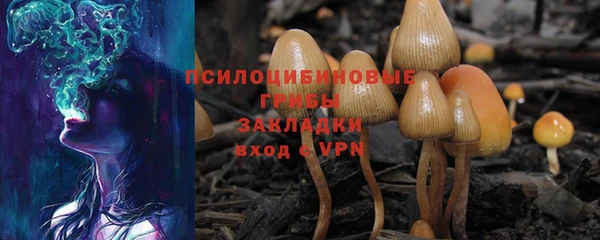 прущая мука Болотное