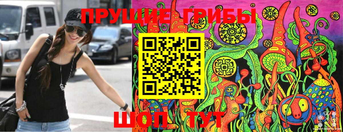 Галлюциногенные грибы Psilocybine cubensis  Изобильный 